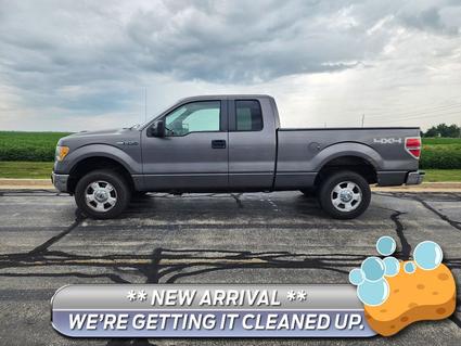 2010 Ford F-150 Watseka IL