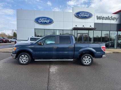 2014 Ford F-150 Martin TN