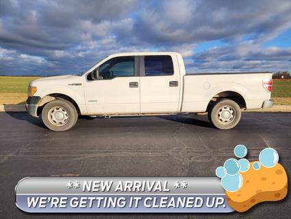 2013 Ford F-150 Watseka IL