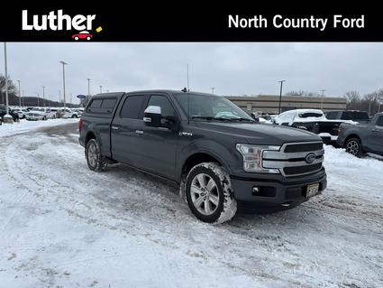 2019 Ford F-150 Minneapolis MN
