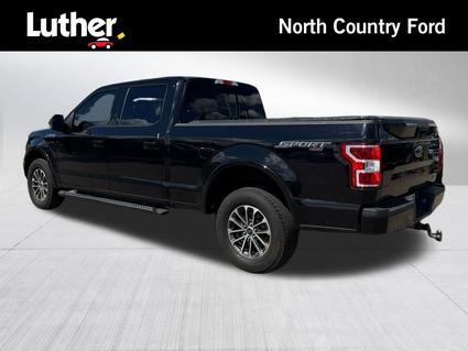 2019 Ford F-150 Minneapolis MN