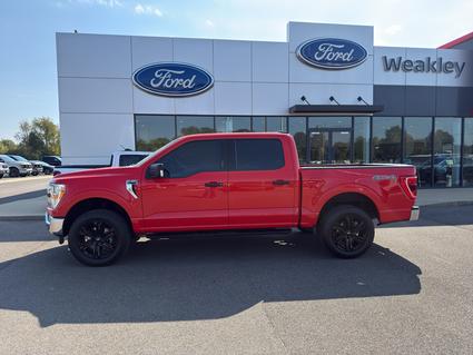 2021 Ford F-150 Martin TN