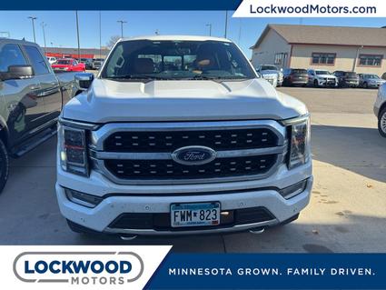 2021 Ford F-150 Marshall MN