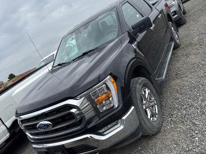 2021 Ford F-150 Post Falls ID