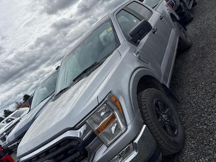 2022 Ford F-150 Post Falls ID