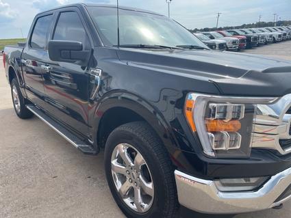 2023 Ford F-150 Whitesboro TX