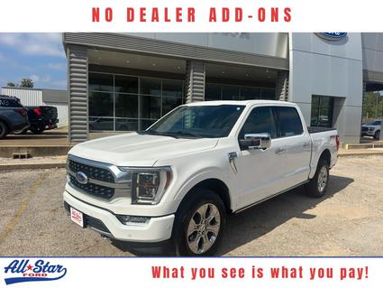2021 Ford F-150 Palestine TX