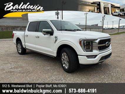 2023 Ford F-150 Poplar Bluff MO