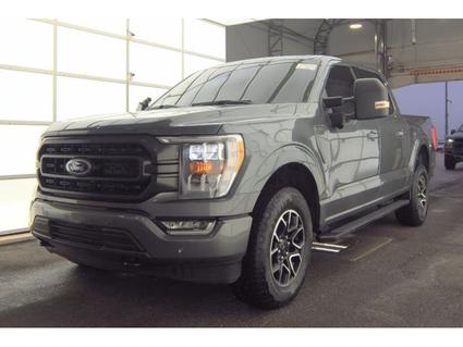 2023 Ford F-150 Murfreesboro TN