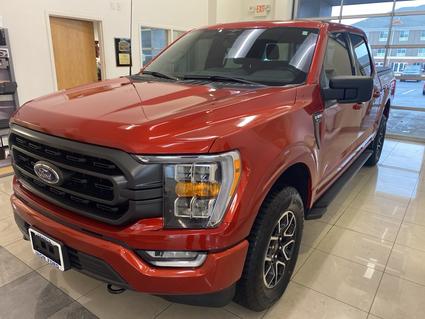 2023 Ford F-150 Sparta IL