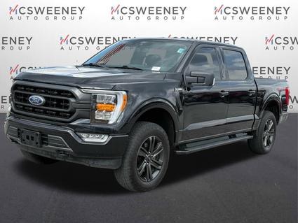 2021 Ford F-150 Pell City AL