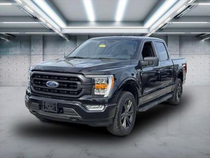 2021 Ford F-150 Patchogue NY