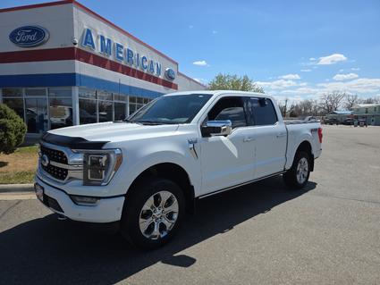 2022 Ford F-150 Glendive MT