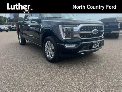 2023 Ford F-150 Minneapolis MN