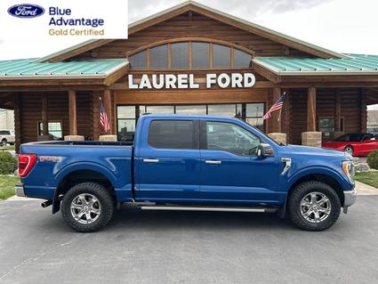 2023 Ford F-150 Laurel MT