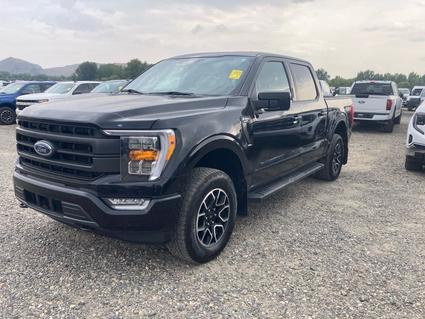 2022 Ford F-150 Laurel  MT