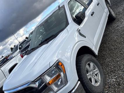 2022 Ford F-150 Post Falls ID