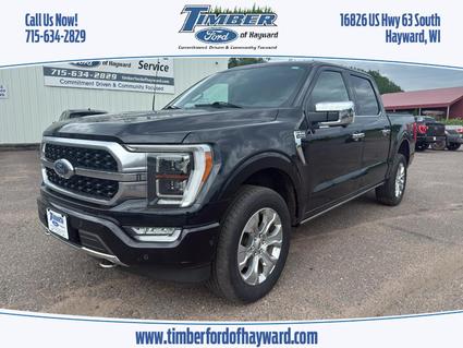 2021 Ford F-150 Hayward WI