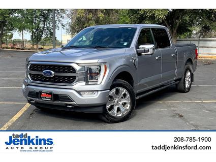 2021 Ford F-150 Blackfoot ID