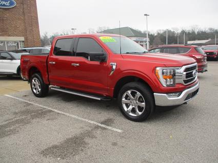 2023 Ford F-150 Pulaski TN