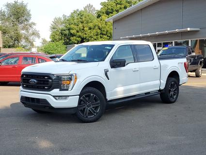 2021 Ford F-150 Paw Paw MI