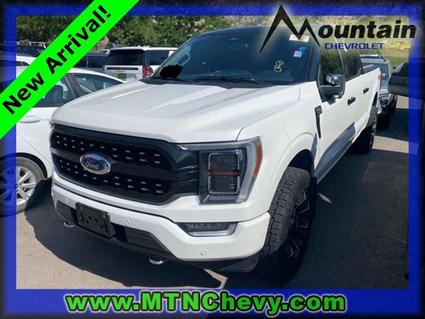 2022 Ford F-150 Glenwood Springs CO