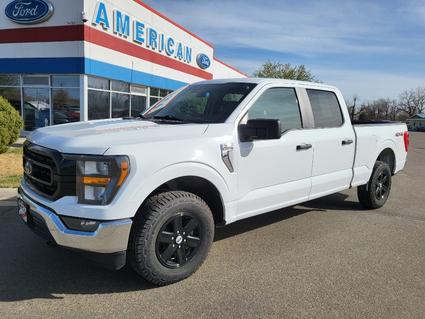 2023 Ford F-150 Glendive MT