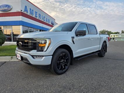 2023 Ford F-150 Glendive MT