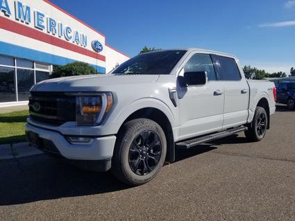 2023 Ford F-150 Glendive MT