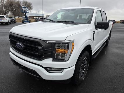 2023 Ford F-150 Idaho Falls ID