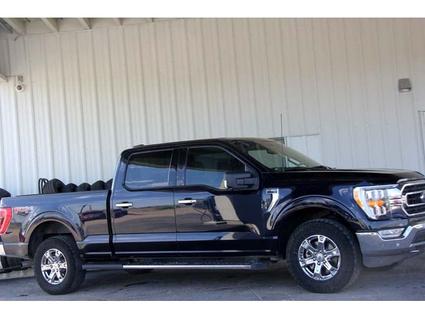 2021 Ford F-150 Lamar CO