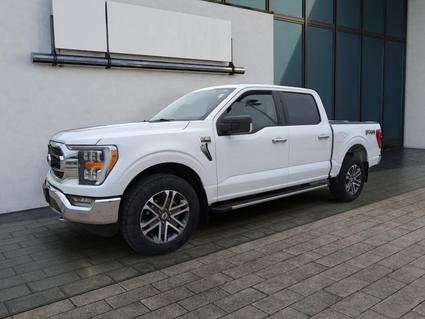 2021 Ford F-150 Sheridan WY
