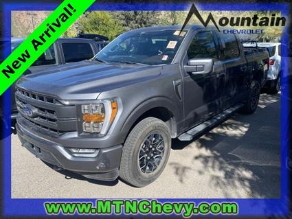 2021 Ford F-150 Glenwood Springs CO