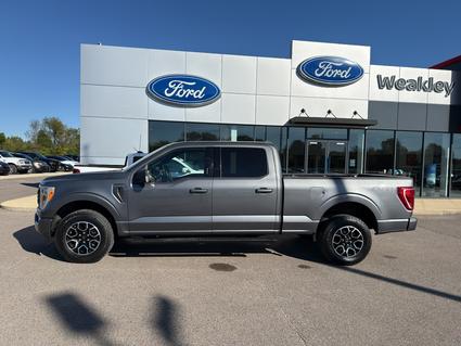2022 Ford F-150 Martin TN