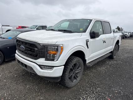 2022 Ford F-150 Post Falls ID