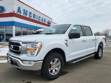 2023 Ford F-150 Glendive MT