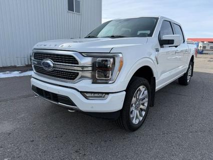 2021 Ford F-150 Idaho Falls ID