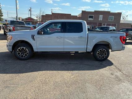 2023 Ford F-150 Cut Bank MT