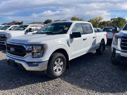 2023 Ford F-150 Laurel  MT
