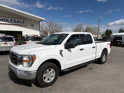 2021 Ford F-150 Laurel  MT