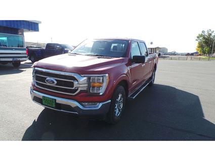 2022 Ford F-150 Havre MT