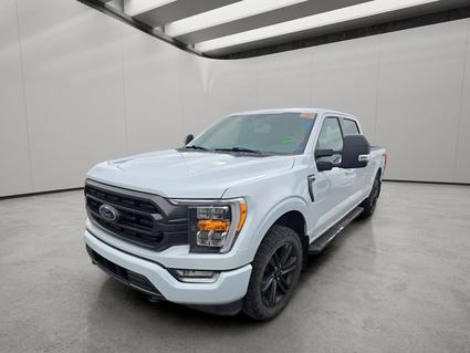 2022 Ford F-150 Loveland CO
