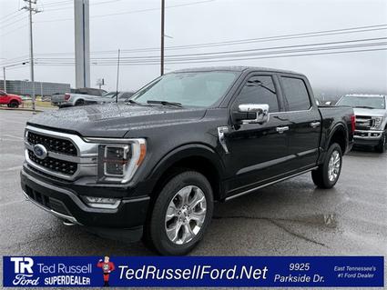 2023 Ford F-150 Knoxville TN