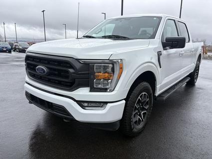 2023 Ford F-150 Idaho Falls ID