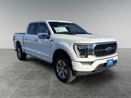 2023 Ford F-150 Plainview TX