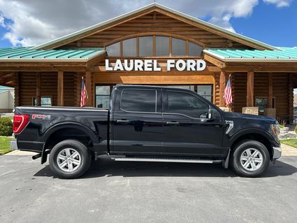 2023 Ford F-150 Laurel MT