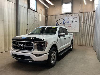 2023 Ford F-150 Roosevelt UT