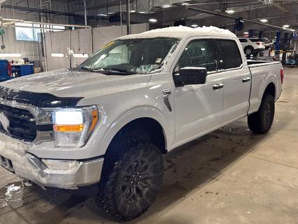 2021 Ford F-150 Canon City CO