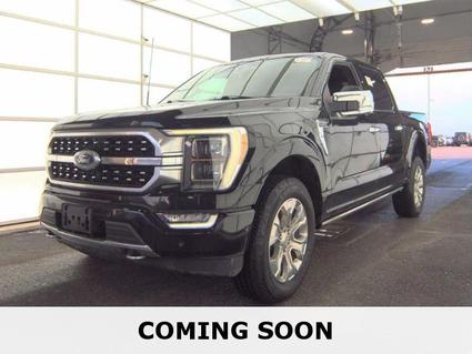 2023 Ford F-150 Selma AL