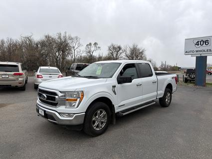 2023 Ford F-150 Laurel  MT